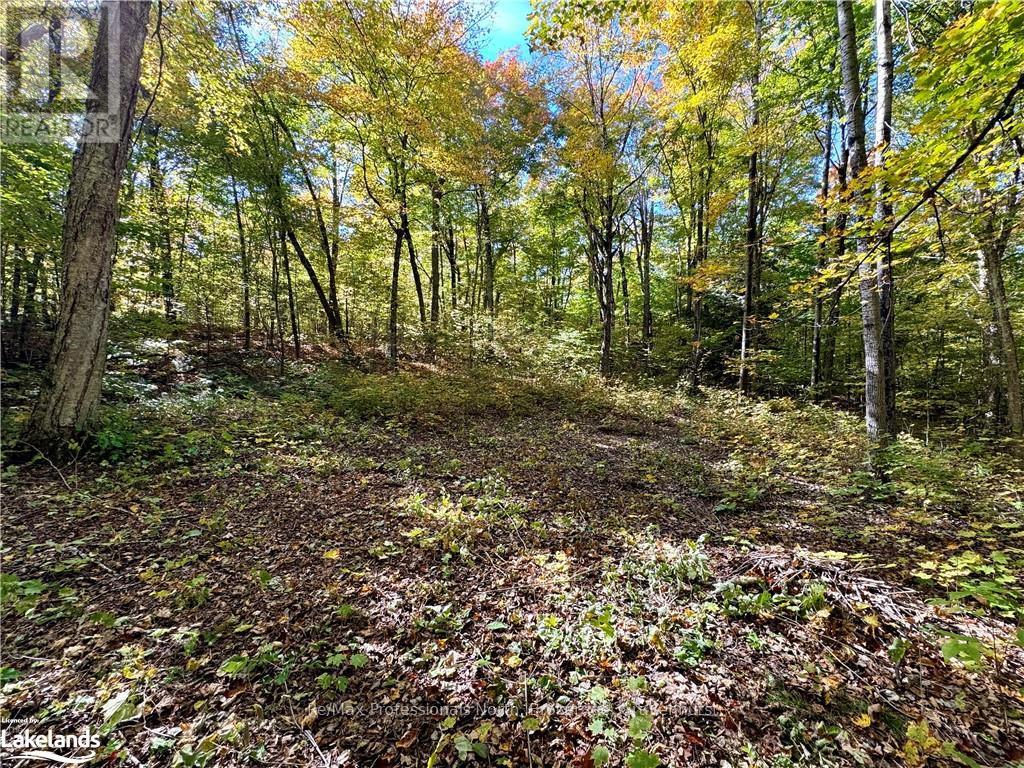 234 Longs Lake Road, Huntsville, Ontario  P0B 1M0 - Photo 5 - X10435412