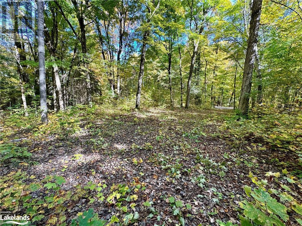 234 Longs Lake Road, Huntsville, Ontario  P0B 1M0 - Photo 6 - X10435412