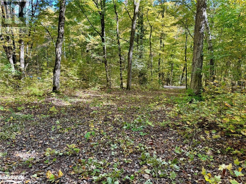 234 Longs Lake Road, Huntsville, Ontario  P0B 1M0 - Photo 7 - X10435412