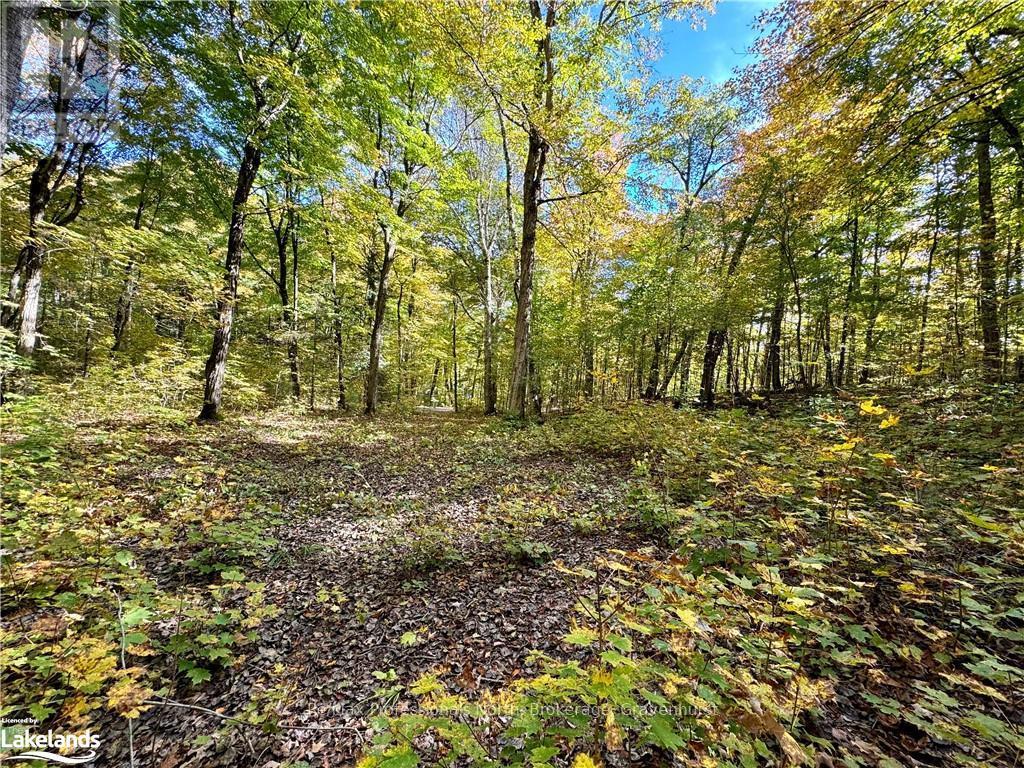 234 Longs Lake Road, Huntsville, Ontario  P0B 1M0 - Photo 9 - X10435412