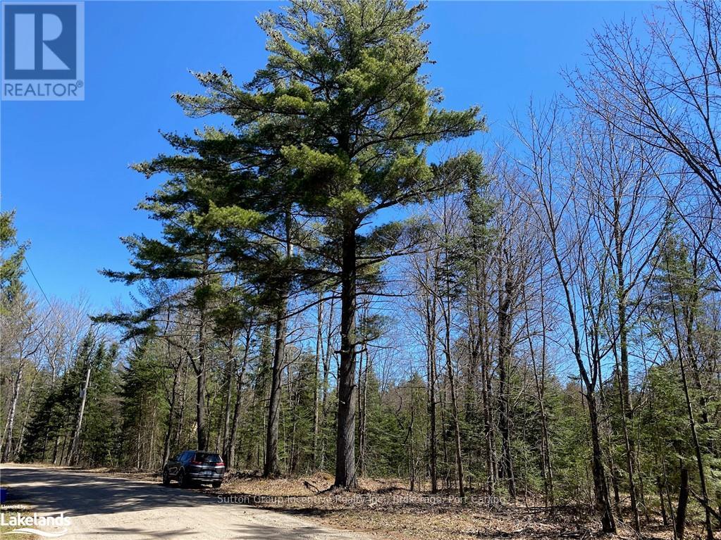 75 Ripple Lane, Huntsville, Ontario  P1H 2J4 - Photo 1 - X10437967