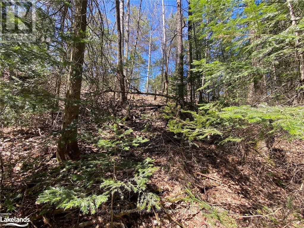 75 Ripple Lane, Huntsville, Ontario  P1H 2J4 - Photo 11 - X10437967