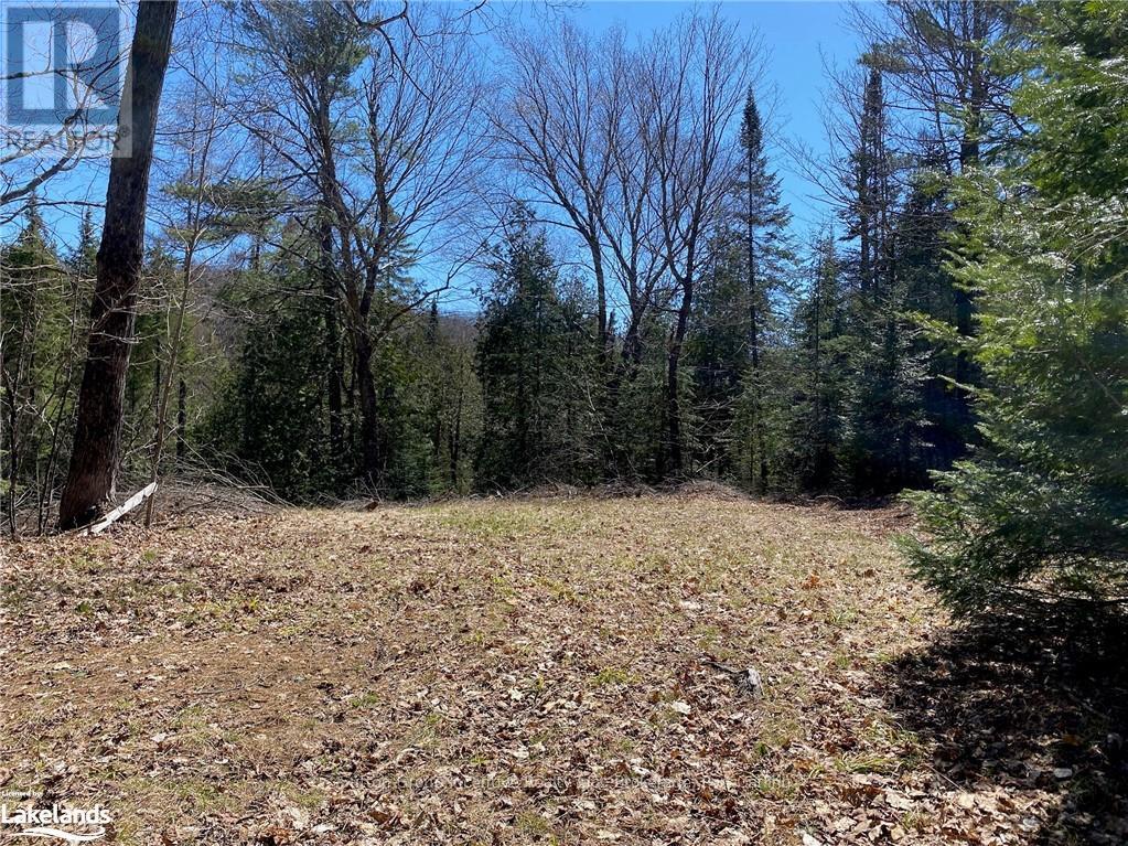 75 Ripple Lane, Huntsville, Ontario  P1H 2J4 - Photo 2 - X10437967