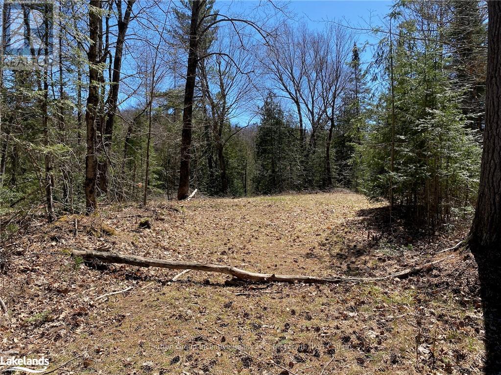 75 Ripple Lane, Huntsville, Ontario  P1H 2J4 - Photo 3 - X10437967