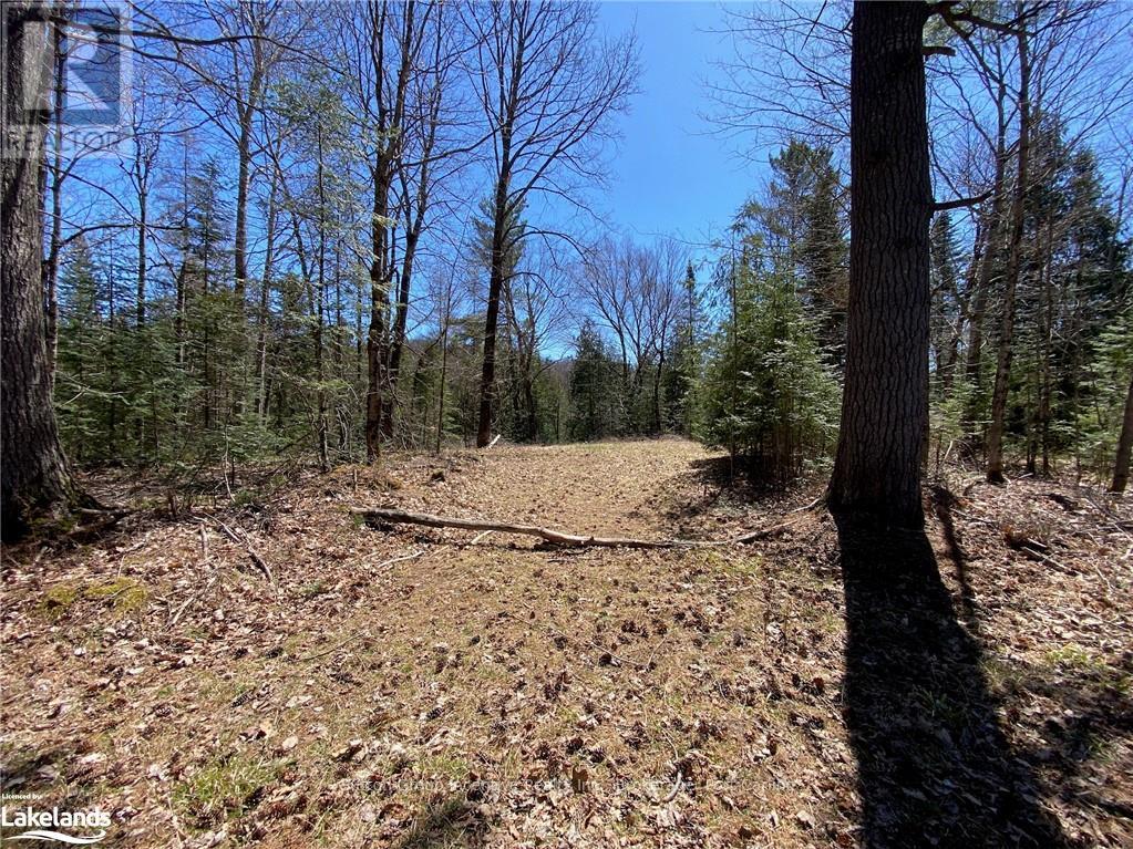 75 Ripple Lane, Huntsville, Ontario  P1H 2J4 - Photo 4 - X10437967