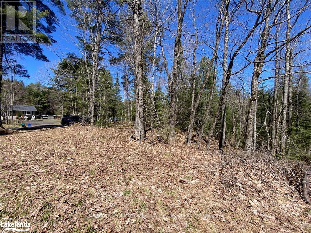 75 Ripple Lane, Huntsville, Ontario  P1H 2J4 - Photo 9 - X10437967