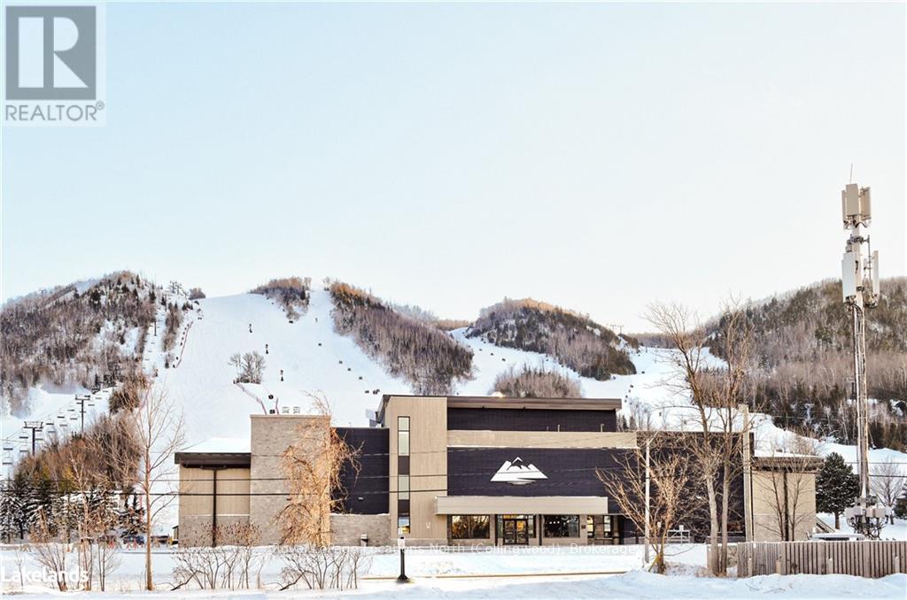 164 Wensley Drive, Blue Mountains (Blue Mountain Resort Area), Ontario  N0H 1J0 - Photo 37 - X10438087