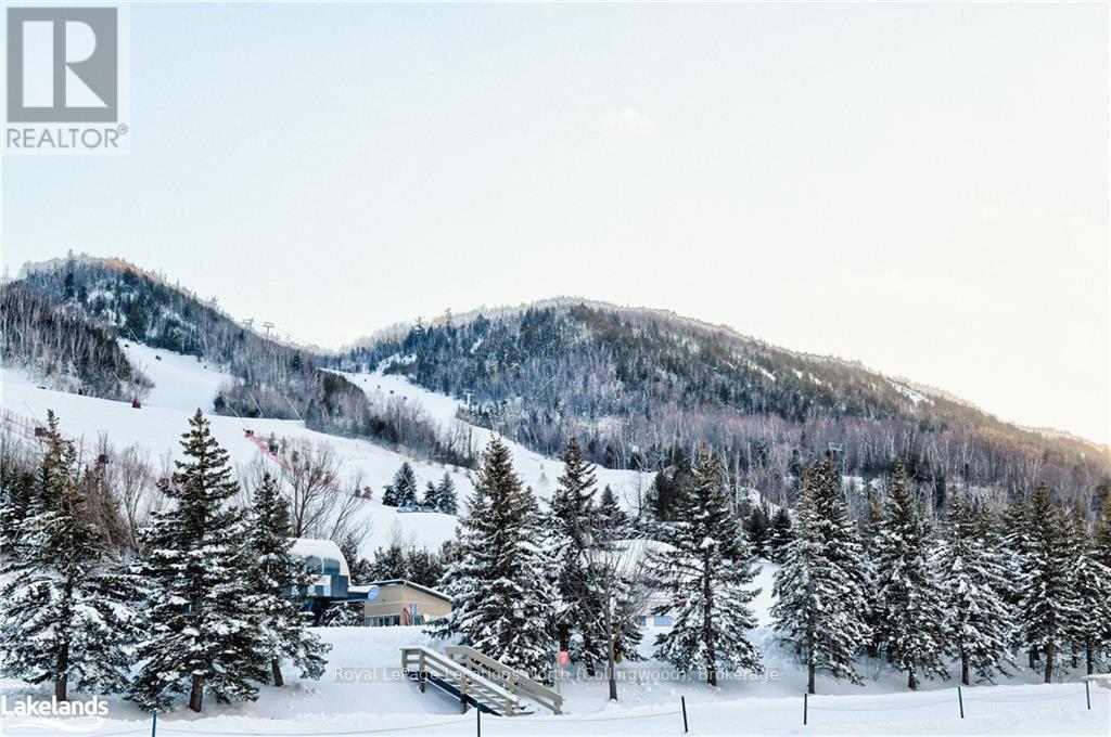 164 Wensley Drive, Blue Mountains (Blue Mountain Resort Area), Ontario  N0H 1J0 - Photo 39 - X10438087