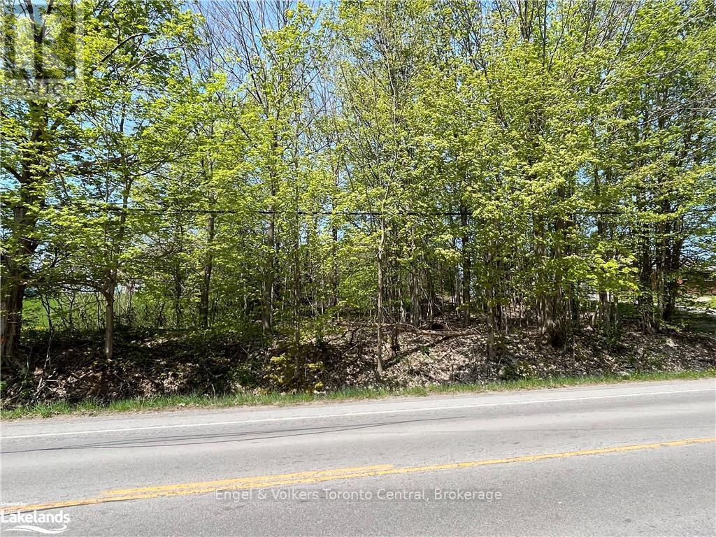 Part Lot 31 1 Grey Road, Georgian Bluffs, Ontario  N0H 1S0 - Photo 6 - X10438418
