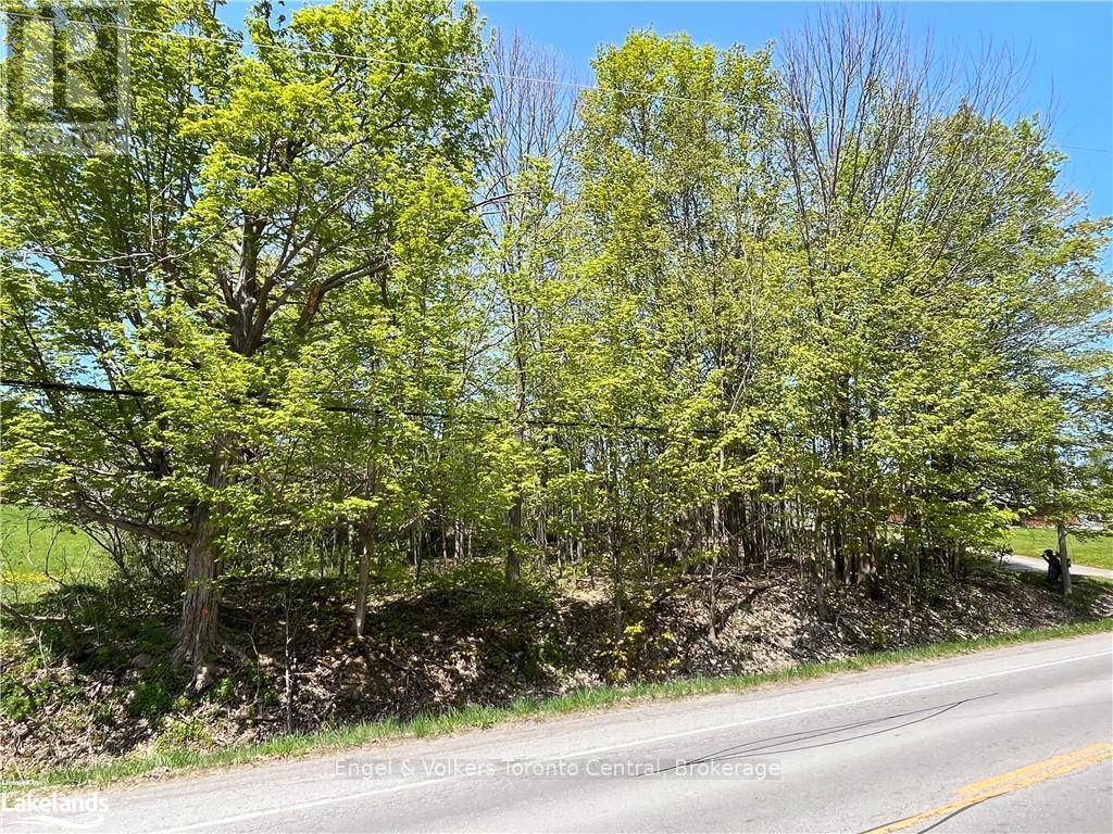 Part Lot 31 1 Grey Road, Georgian Bluffs, Ontario  N0H 1S0 - Photo 7 - X10438418