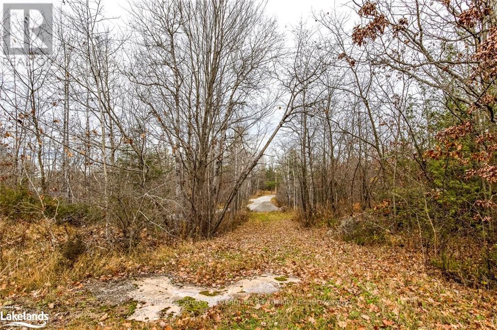 Lot 30 Birch Acres Drive, Georgian Bay, Ontario  P0E 1E0 - Photo 14 - X10437265