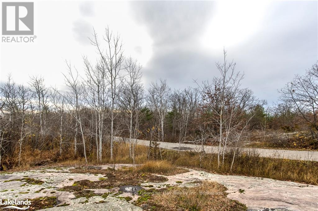 Lot 30 Birch Acres Drive, Georgian Bay, Ontario  P0E 1E0 - Photo 19 - X10437265
