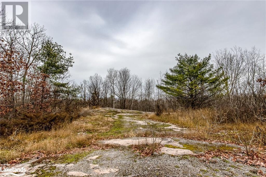 Lot 30 Birch Acres Drive, Georgian Bay, Ontario  P0E 1E0 - Photo 21 - X10437265