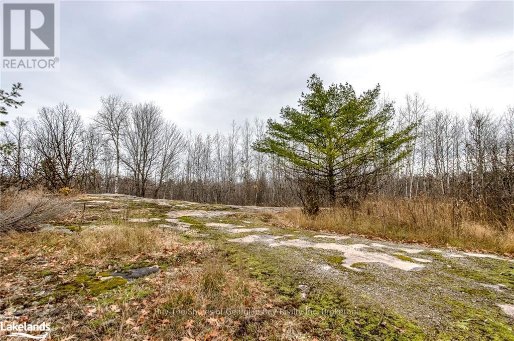 Lot 30 Birch Acres Drive, Georgian Bay, Ontario  P0E 1E0 - Photo 22 - X10437265