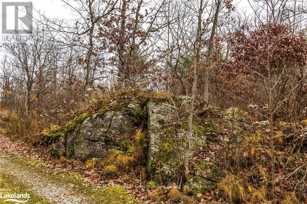 Lot 30 Birch Acres Drive, Georgian Bay, Ontario  P0E 1E0 - Photo 29 - X10437265
