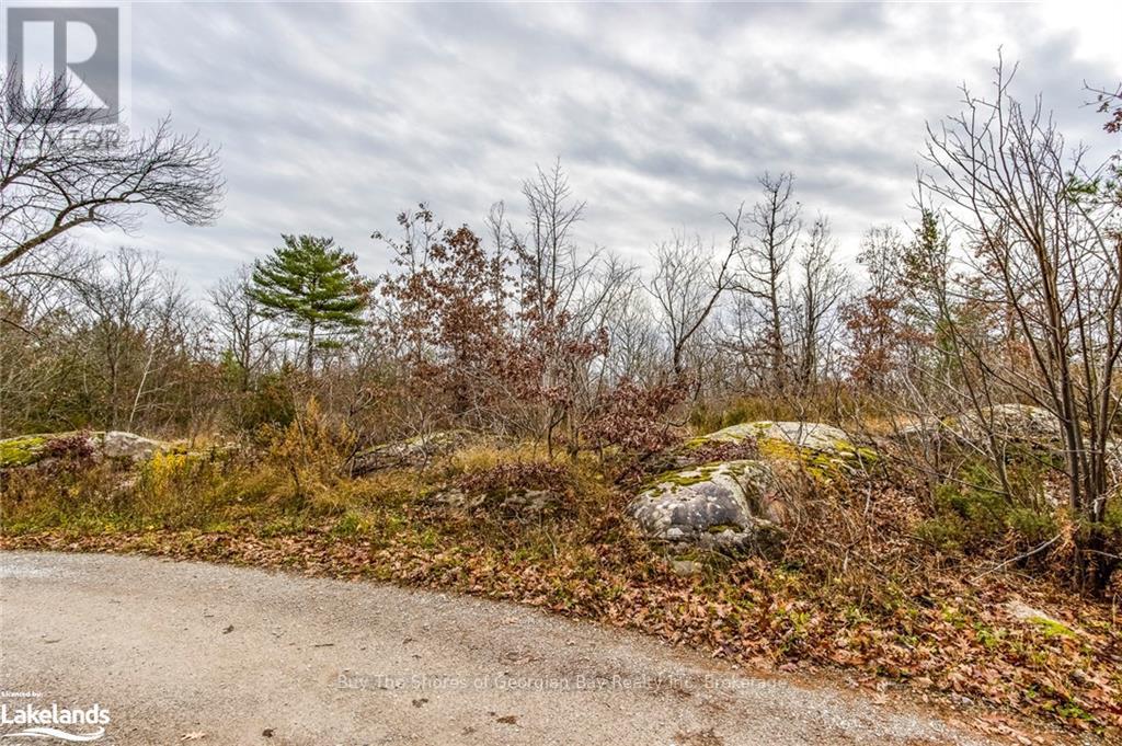 Lot 30 Birch Acres Drive, Georgian Bay, Ontario  P0E 1E0 - Photo 32 - X10437265