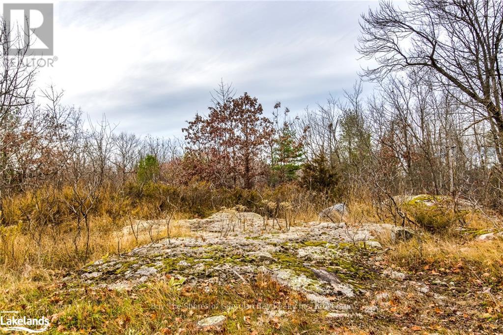 Lot 30 Birch Acres Drive, Georgian Bay, Ontario  P0E 1E0 - Photo 33 - X10437265