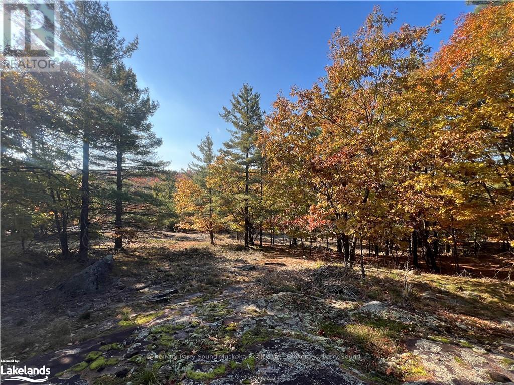 13 Ridgeway Drive, Carling, Ontario  P0G 1G0 - Photo 29 - X10437730