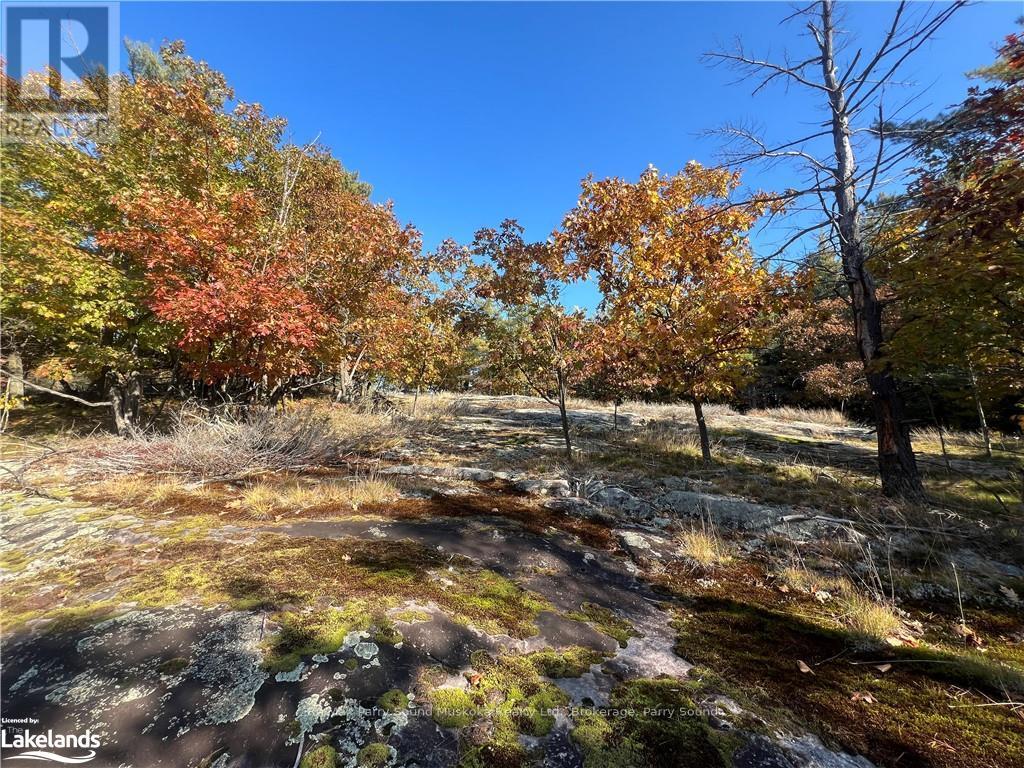 13 Ridgeway Drive, Carling, Ontario  P0G 1G0 - Photo 3 - X10437730