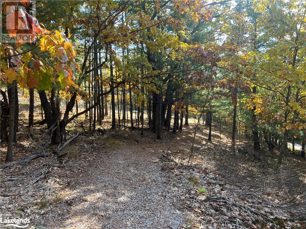 13 Ridgeway Drive, Carling, Ontario  P0G 1G0 - Photo 30 - X10437730