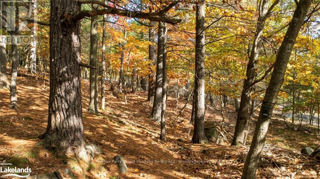 13 Ridgeway Drive, Carling, Ontario  P0G 1G0 - Photo 6 - X10437730