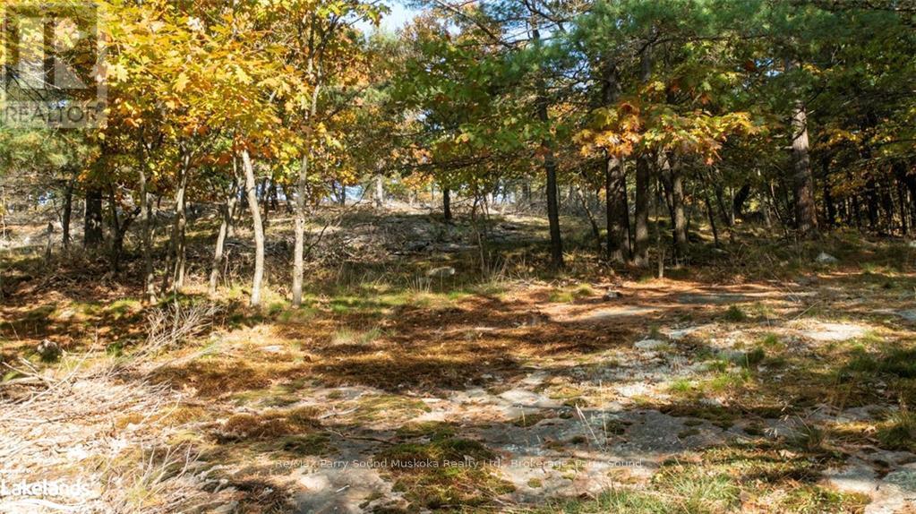 13 Ridgeway Drive, Carling, Ontario  P0G 1G0 - Photo 8 - X10437730