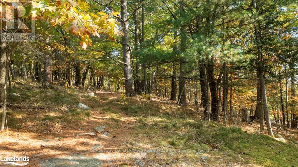 13 Ridgeway Drive, Carling, Ontario  P0G 1G0 - Photo 9 - X10437730