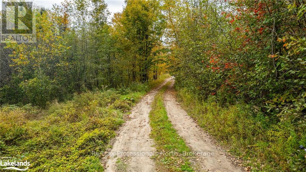 1600 Bobcaygeon Road, Minden Hills, Ontario  K0M 2K0 - Photo 10 - X10437980