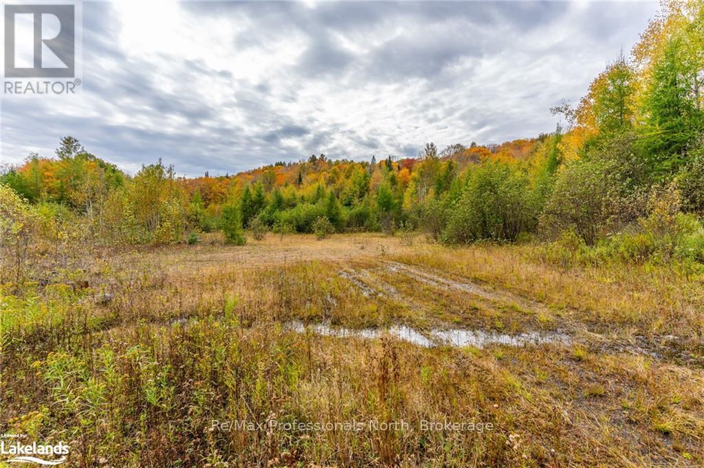 1600 Bobcaygeon Road, Minden Hills, Ontario  K0M 2K0 - Photo 15 - X10437980