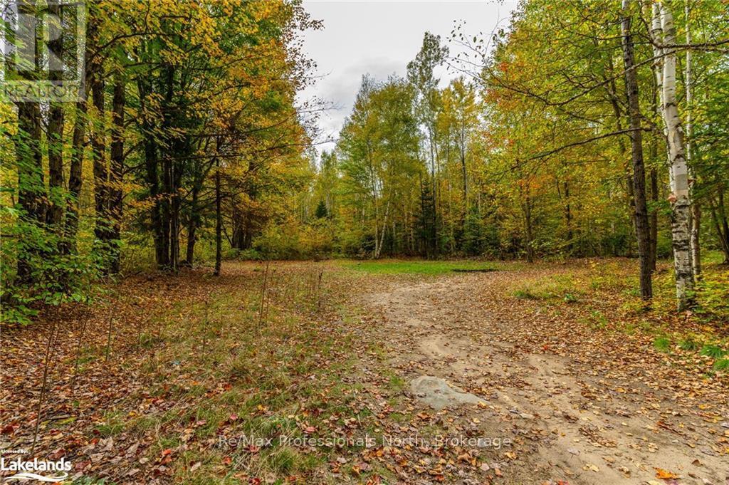 1600 Bobcaygeon Road, Minden Hills, Ontario  K0M 2K0 - Photo 18 - X10437980