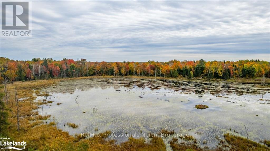 1600 Bobcaygeon Road, Minden Hills, Ontario  K0M 2K0 - Photo 19 - X10437980