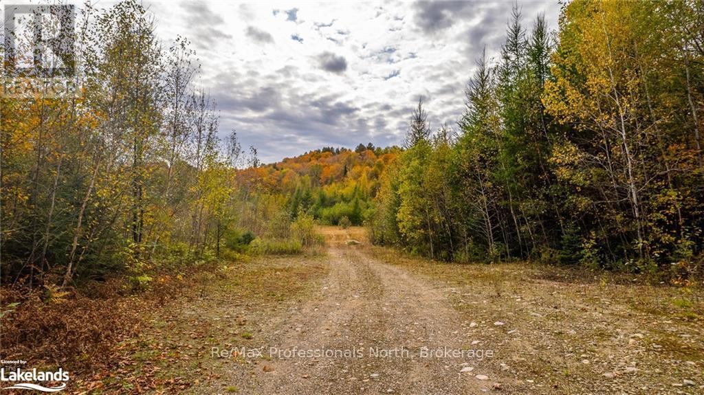 1600 Bobcaygeon Road, Minden Hills, Ontario  K0M 2K0 - Photo 2 - X10437980