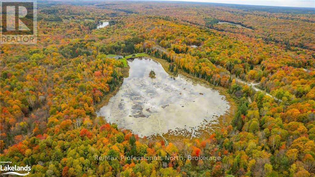 1600 Bobcaygeon Road, Minden Hills, Ontario  K0M 2K0 - Photo 20 - X10437980