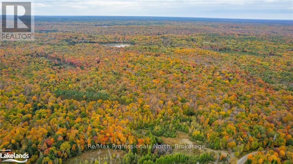 1600 Bobcaygeon Road, Minden Hills, Ontario  K0M 2K0 - Photo 25 - X10437980