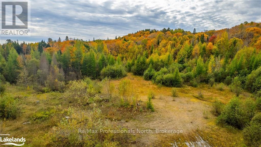 1600 Bobcaygeon Road, Minden Hills, Ontario  K0M 2K0 - Photo 4 - X10437980
