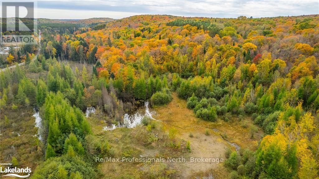 1600 Bobcaygeon Road, Minden Hills, Ontario  K0M 2K0 - Photo 5 - X10437980