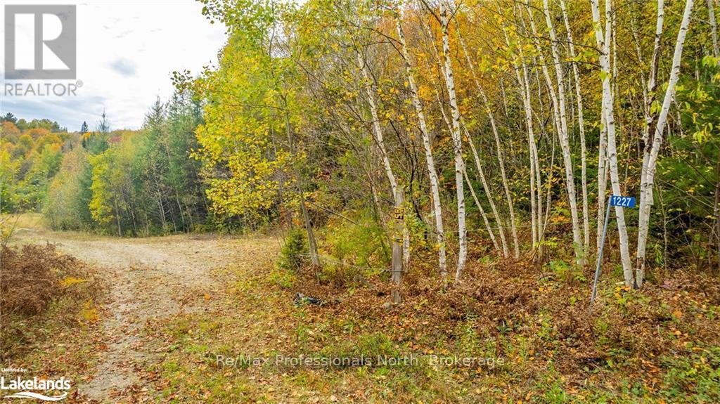 1600 Bobcaygeon Road, Minden Hills, Ontario  K0M 2K0 - Photo 7 - X10437980