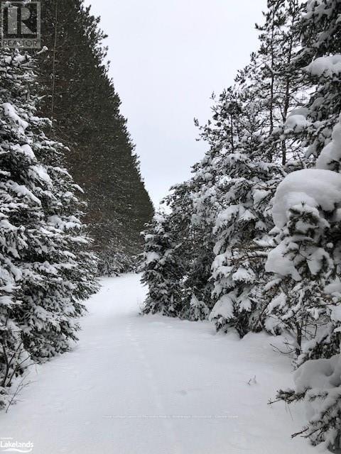 1152 Forest Lake Road, Joly, Ontario  P0A 1Z0 - Photo 14 - X10436163