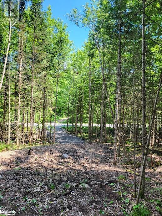 Lot 5 Fairy Falls Road, Lake Of Bays, Ontario  P0B 1A0 - Photo 14 - X10436952