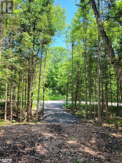 Lot 5 Fairy Falls Road, Lake Of Bays, Ontario  P0B 1A0 - Photo 16 - X10436952