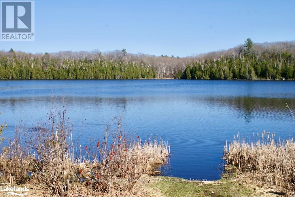 0 Highway 35, Minden Hills, Ontario  K0M 2K0 - Photo 2 - X10438565