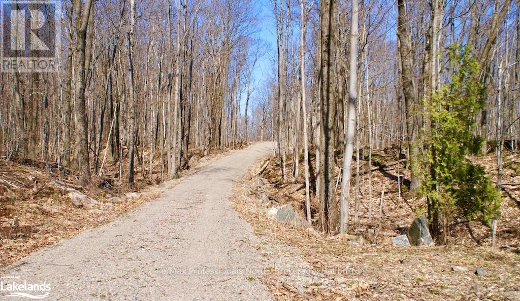 0 Highway 35, Minden Hills, Ontario  K0M 2K0 - Photo 5 - X10438565