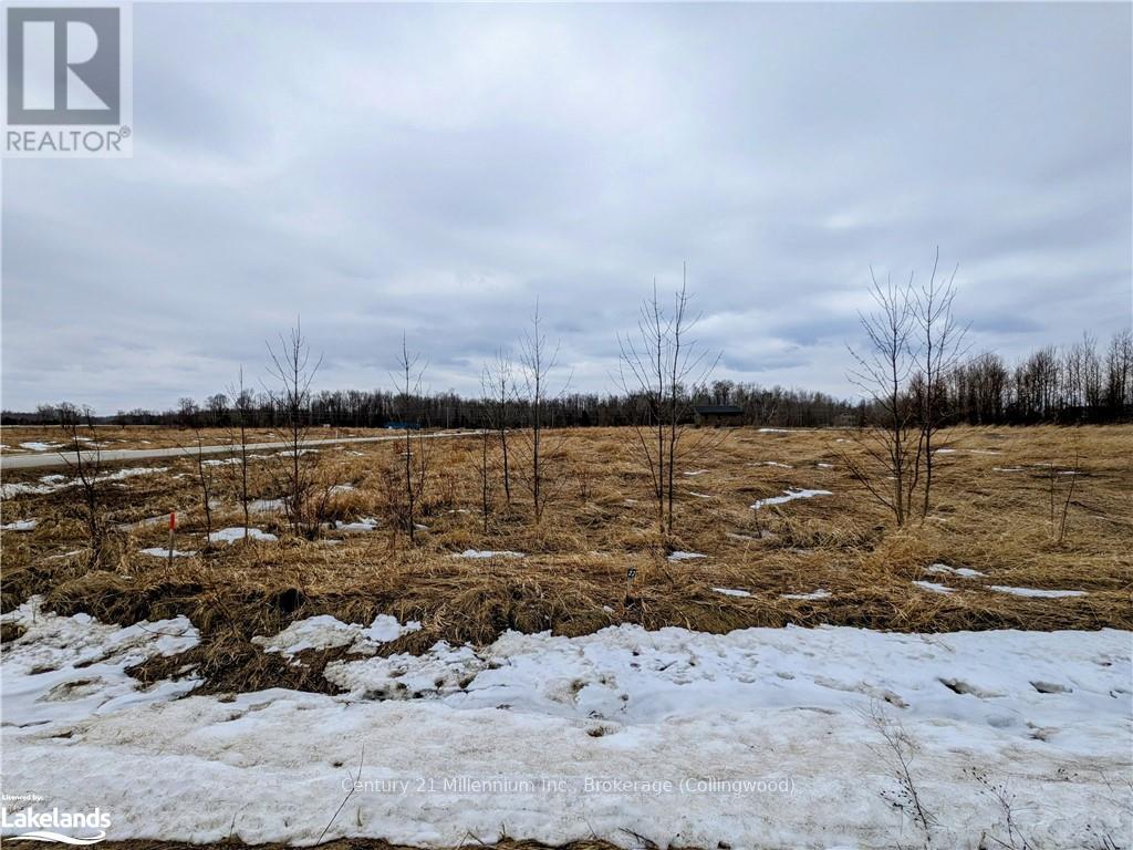 107 Ugovsek Crescent, Meaford, Ontario  N0H 1B0 - Photo 10 - X10438591