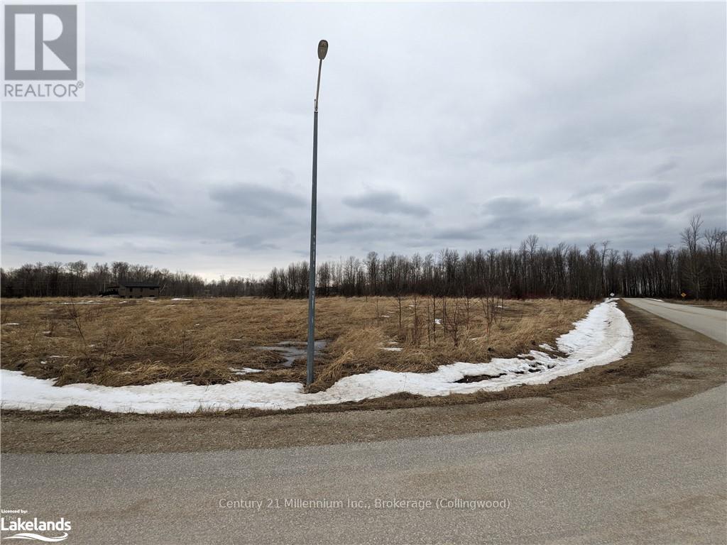 107 Ugovsek Crescent, Meaford, Ontario  N0H 1B0 - Photo 8 - X10438591