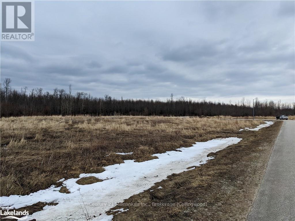 107 Ugovsek Crescent, Meaford, Ontario  N0H 1B0 - Photo 9 - X10438591