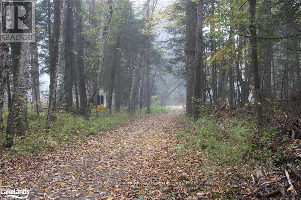 1200 Glamor Lake Road, Highlands East, Ontario  K0M 1R0 - Photo 36 - X10438626