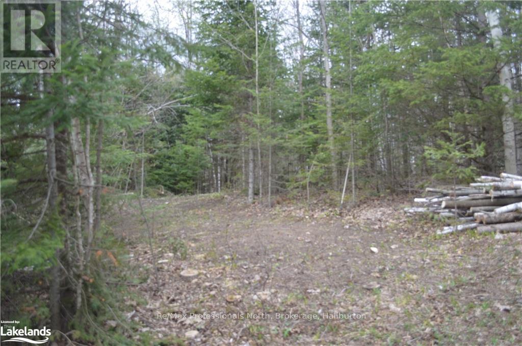 1200 Glamor Lake Road, Highlands East, Ontario  K0M 1R0 - Photo 40 - X10438626