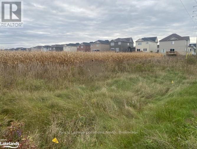 Lot 26 Part 2 Mowat Street N, Clearview (Stayner), Ontario  L0M 1S0 - Photo 3 - S10437331