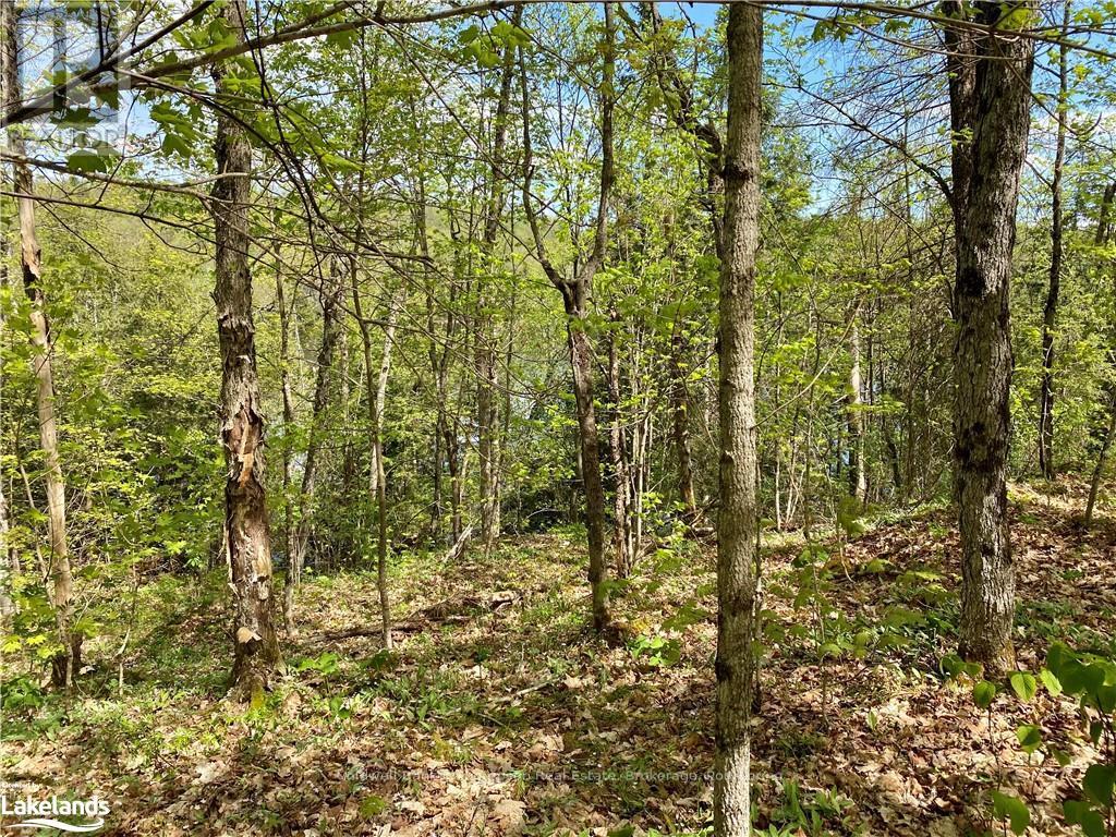 Lot 6-A 522, Parry Sound Remote Area, Ontario  P0H 1S0 - Photo 10 - X10436965