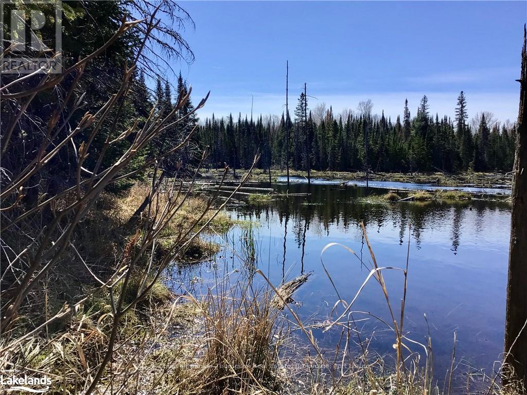Lot 6-A 522, Parry Sound Remote Area, Ontario  P0H 1S0 - Photo 11 - X10436965
